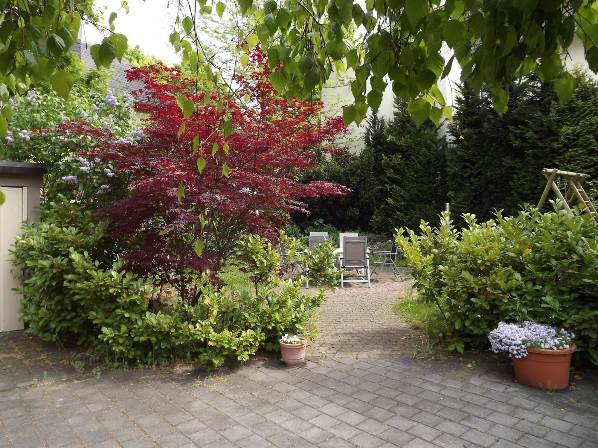Apartments Und Zimmer Gaestehaus Matthias Dresden Dış mekan fotoğraf