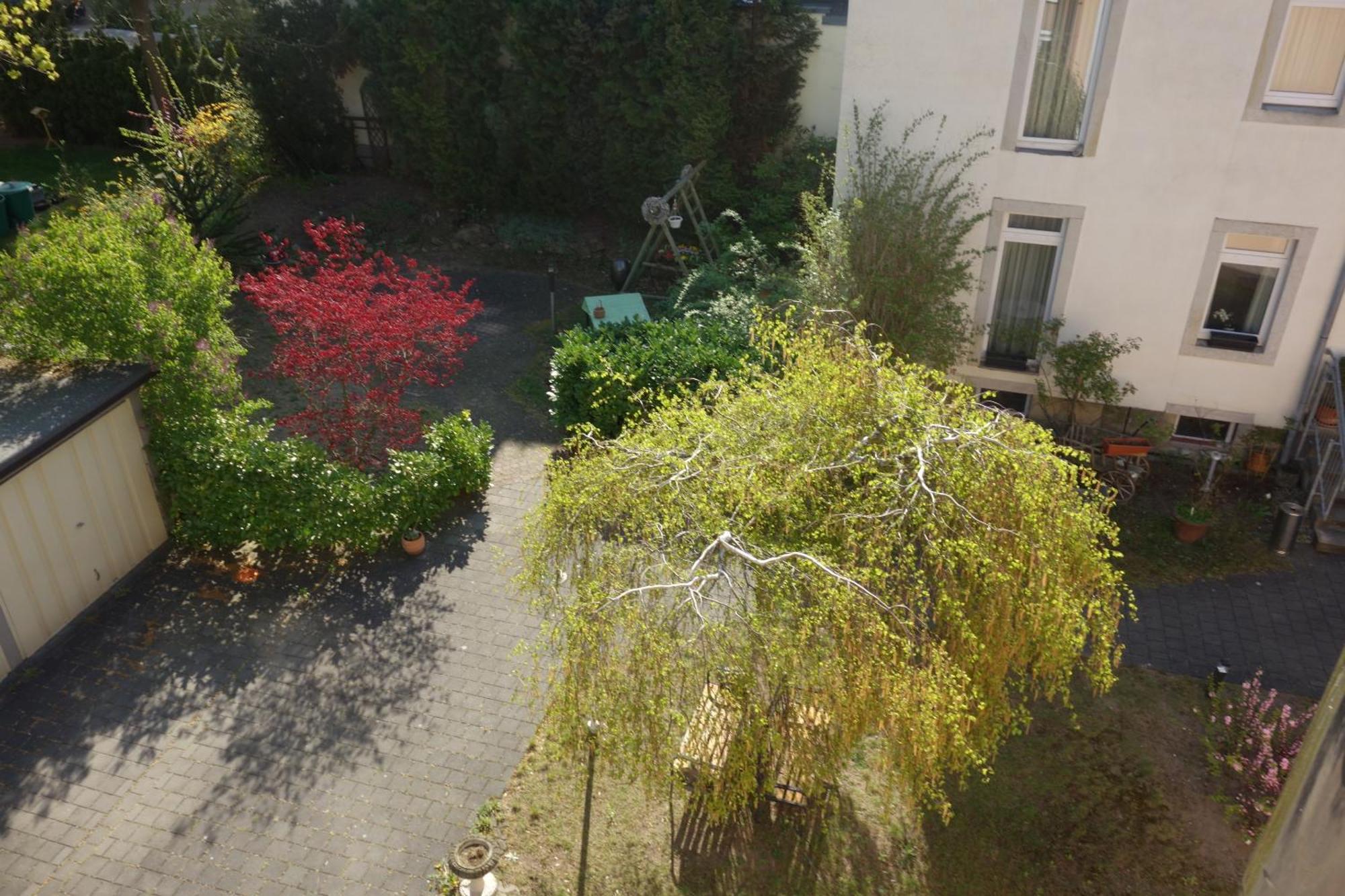 Apartments Und Zimmer Gaestehaus Matthias Dresden Oda fotoğraf