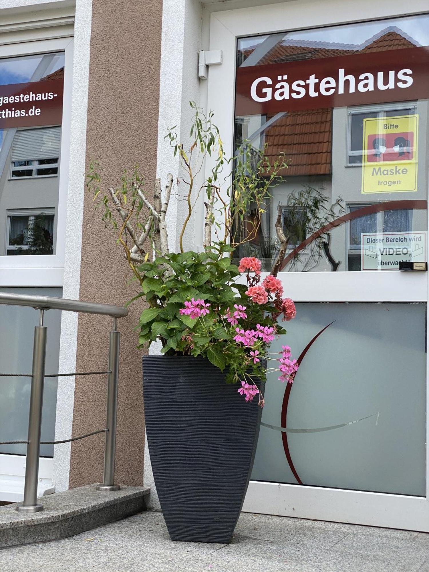 Apartments Und Zimmer Gaestehaus Matthias Dresden Dış mekan fotoğraf